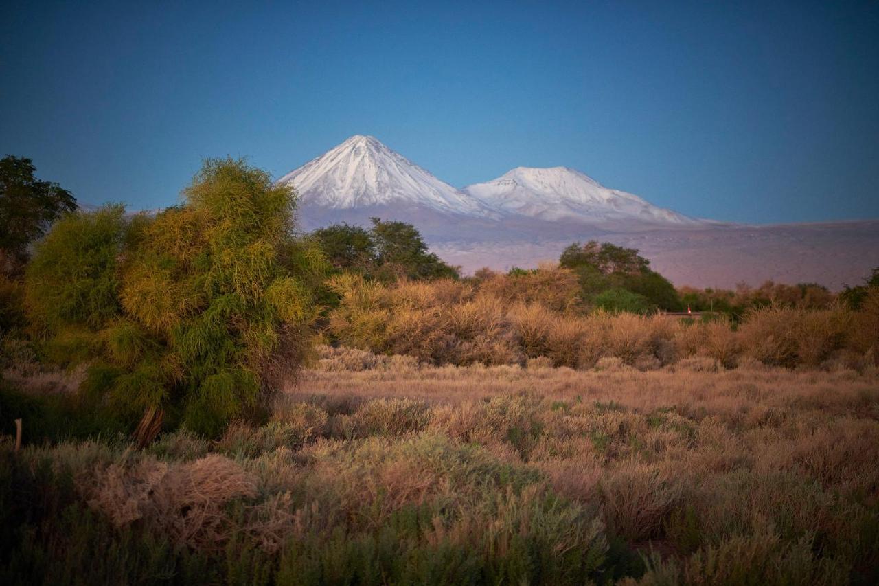 Casa Chincol Pension San Pedro de Atacama Buitenkant foto